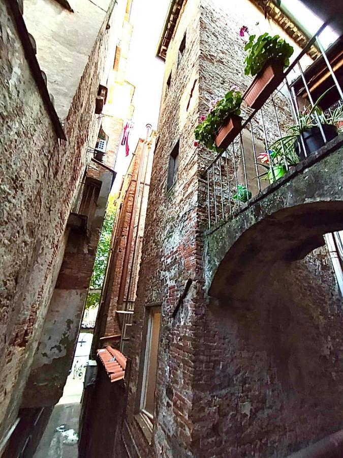 Piazza Napoleone Sweet Apartment Lucca Exterior photo